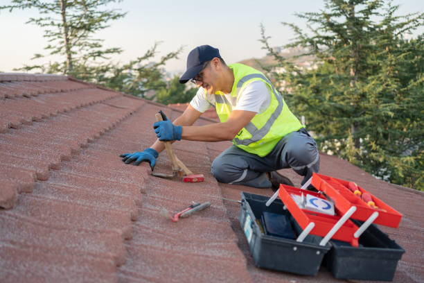 Best Local Roofing Companies  in Machias, WA