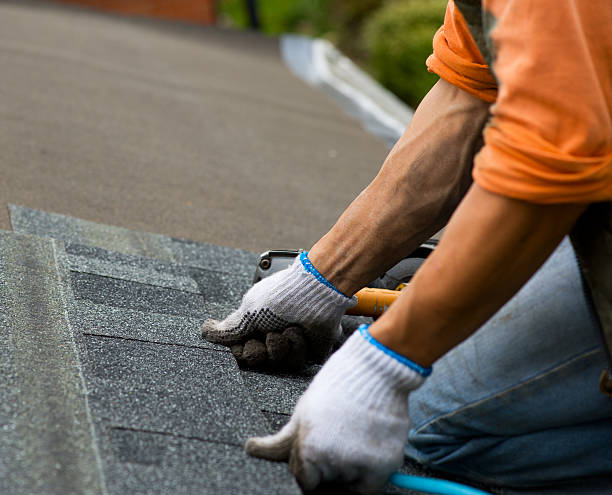 Best Roof Restoration Services  in Machias, WA