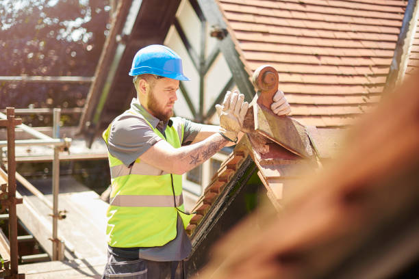Best Roof Gutter Cleaning  in Machias, WA